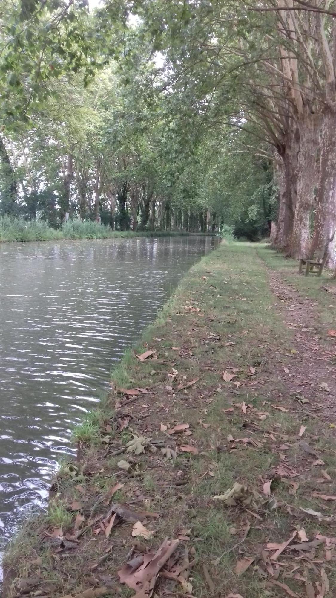 Fourques-sur-Garonne Le Studio De La Casa Fourquaise 아파트 외부 사진